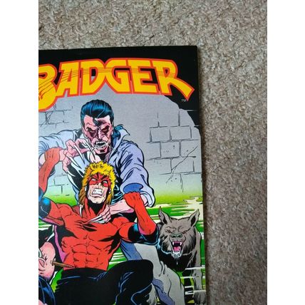 BADGER # 44 (1989) FIRST COMICS (VFN Condition)