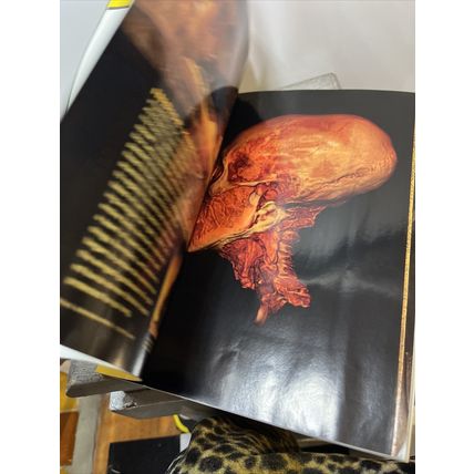 National Geographic Magazine June 2005 King Tut Collectible
