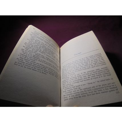 STAN LEE's First Novel! DUNN'S CONDUNDRUM Paperback! 1st Printing! $10.00 obo!