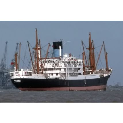 SQ0928 - Blue Funnel Cargo Ship - Rhexenor , built 1960 - photograph 6x4