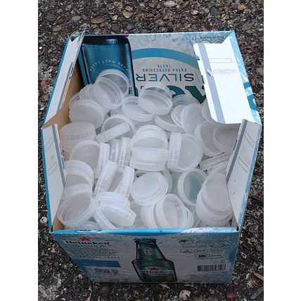 Plastic milk bottle tops, mostly white, lids caps kids art craft school project