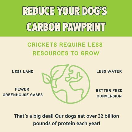 Jiminy’s Chewy Training Treats for Dogs – Sweet Potato & Peas Recipe – 6 oz