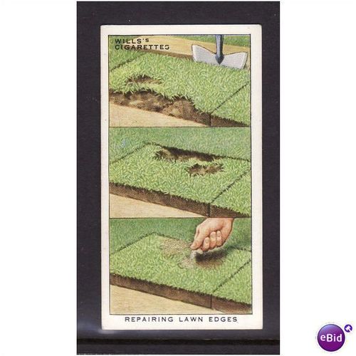 WILLS - 1938 GARDEN HINTS NO 19 Repairing Lawn Edge Mint