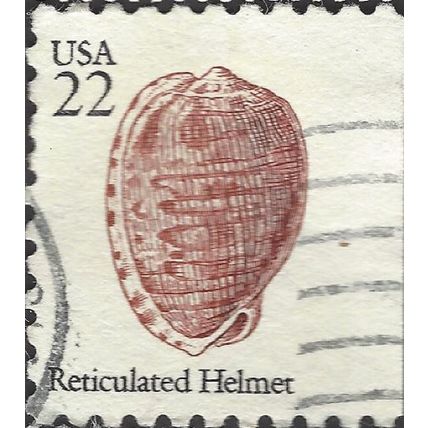 USA, MOLLUSC, Reticulated Helmet, white 1985, 22c, #5
