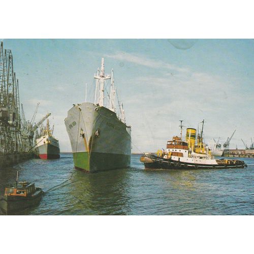 Port Elizabeth Harbour South Africa Postcard (S12261)