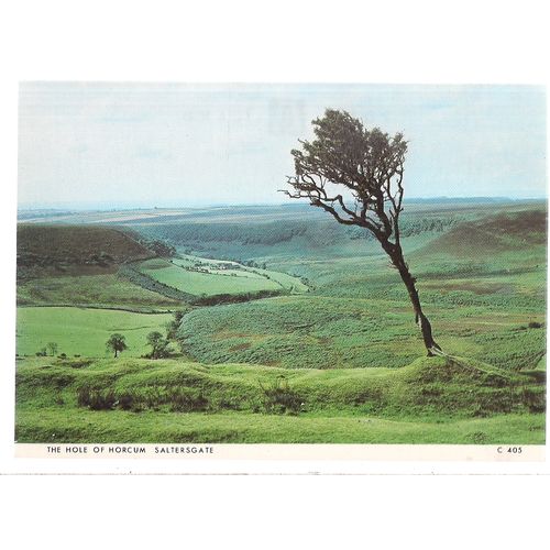 THE HOLE OF HORCUM, SALTERSGATE, YORKSHIRE vintage unused postcard by Judges =