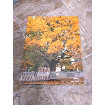 Ideals Thanksgiving Lot of 2 Magazine Fall September November Issues