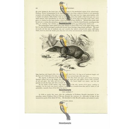 Agouta, Book Illustration (Print), 1884