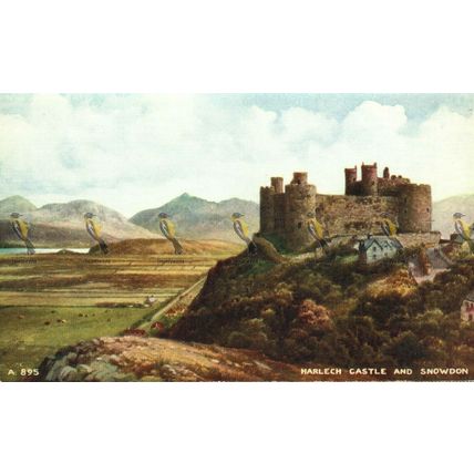 Harlech Castle & Snowdon, Wales, A895 Valentine's Art Colour Postcard