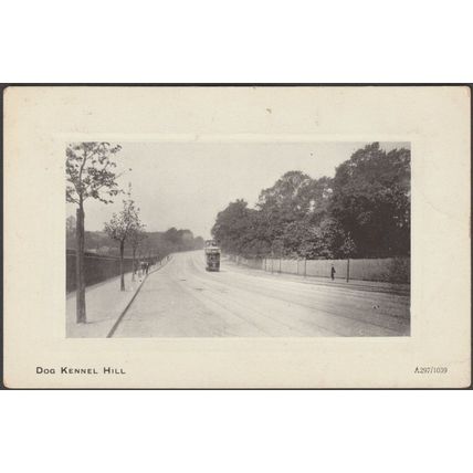 Dog Kennel Hill, East Dulwich, London, c.1910 - Arcadia Bazaar Postcard
