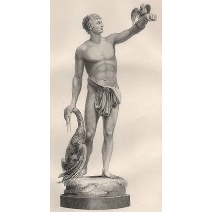FALCONER 1866 John Edward Carew - William Thomas Fry VICTORIAN ENGRAVING