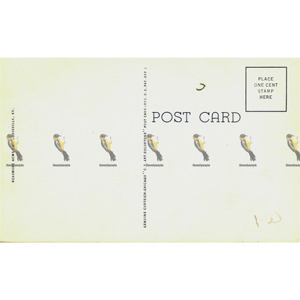 Greetings From Louisiana, USA, Art Colortone Readmore News Postcard, 1940/50s