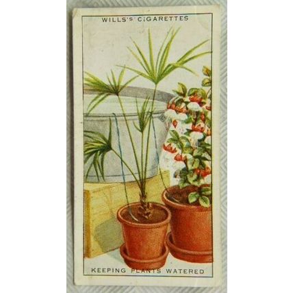 1936 Wills Household Hints 36 Keeping Plants Watered While Away on Holiday