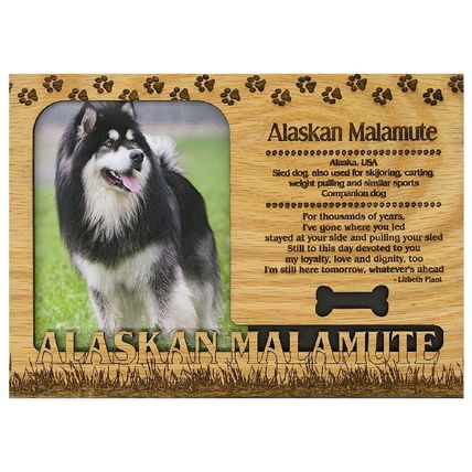 Alaskan Malamute Engraved Wood Picture Frame Magnet
