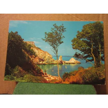 ANSTEY'S COVE, TORQUAY, DEVON unused postcard PT III9 =