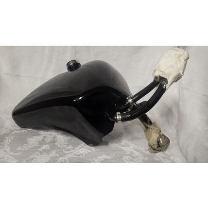 oil tank for 2000 Harley Davidson Sportster
