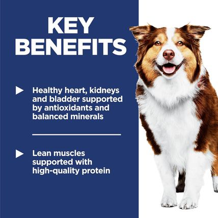 Hill'S Science Diet Adult 7+, Senior Adult 7+ Premium Nutrition, Dry Dog Food, C