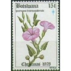 Botswana 1978 Xmas Flowers 15t Ipomoea transvaalensis Unmounted Mint SG437 stamp