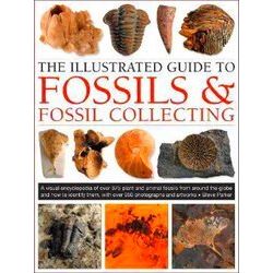 Fossils Fossil Collecting, The Illustrated Guide To