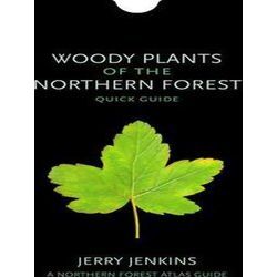 Woody Plants Of The Northern Forest