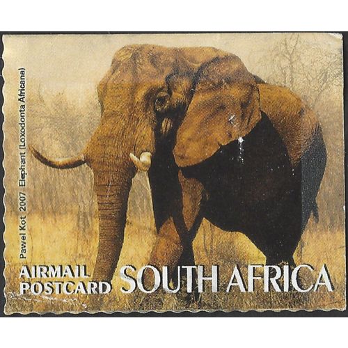 SOUTH AFRICA, MAMMAL, African Elephant, brown 2007, airmail postcard
