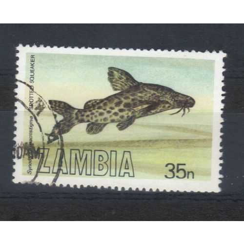 ZAMBIA 1983 FISH 35N LARGE SPOTTED SQUEAKER USED