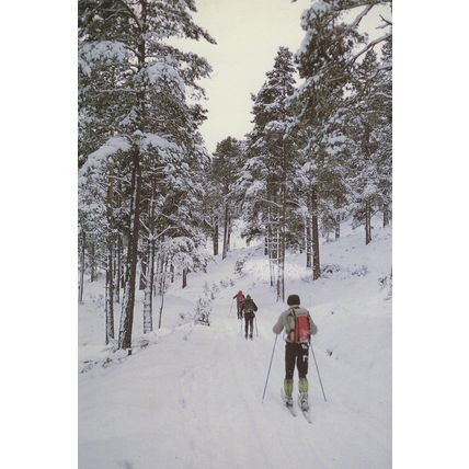 Glen Tanar Scottish Ski Slopes Skiing Postcard
