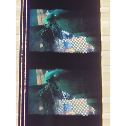 Gremlins. pk DJQ - b 037k. 1 strip of 5 film cells - 35mm
