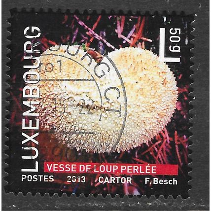 LUXEMBOURG 2013 PUFFBALL FUNGI MUSHROOM 50g RATE DIE CUT SELF ADHESIVE