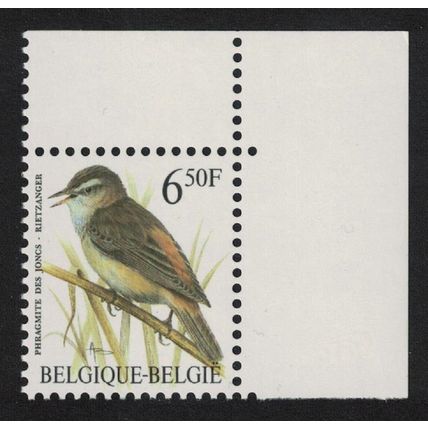 Belgium Sedge-warbler Bird Buzin 'Phragmite des Jones' 6f.50 Corner 1994 MNH