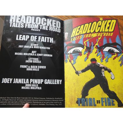 Wrestling comic book TALES FROM THE ROAD Joey Janela GCW Wrestle Crate WWE AEW
