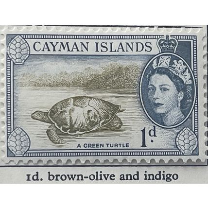 Cayman Islands QEII 1954 1d Brown Olive & Indigo Mounted Mint MM SG 150 stamp
