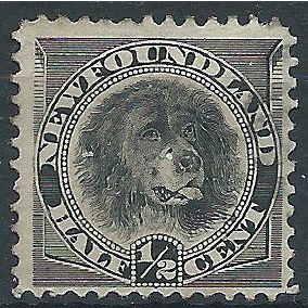 Newfoundland 1894 SG59 1/2c Black Mint No Gum . . ..