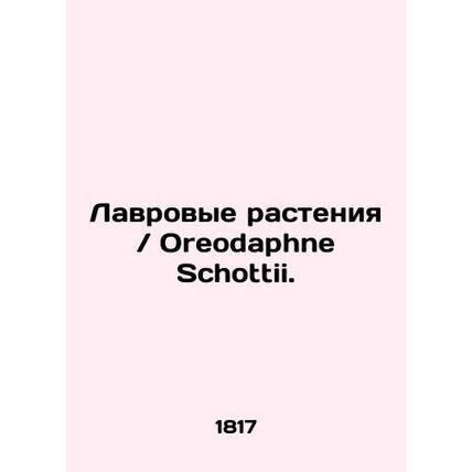 Lavender plants / Oreodaphne Schottii. In Russian (ask us if in doubt)/Lavrovye