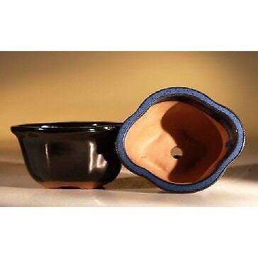 "Black Glazed Ceramic Bonsai Pot - Oval5"" x 4.25"" x 2.75"""