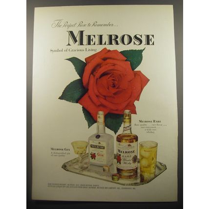 1950 Melrose Gin and Rare Whiskey Ad - The perfect rose to remember