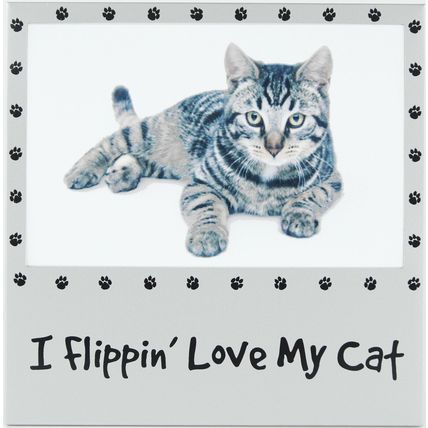 I Flippin' Love My Cat 6x4 Photo Picture Frame Silver tone Metal Pet Gifts New