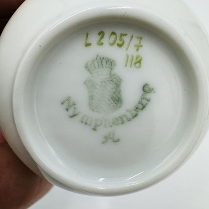 Nymphenburg Tea Cup & Saucer Porcelain L 20517 Hand Painted Floral Antique
