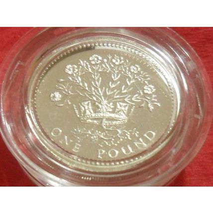 1986 Elizabeth II £1 Silver Proof - Northern Ireland Flax.