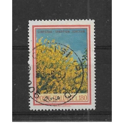 Italy.SG1242 180l Broom.Fine Used.Sept22