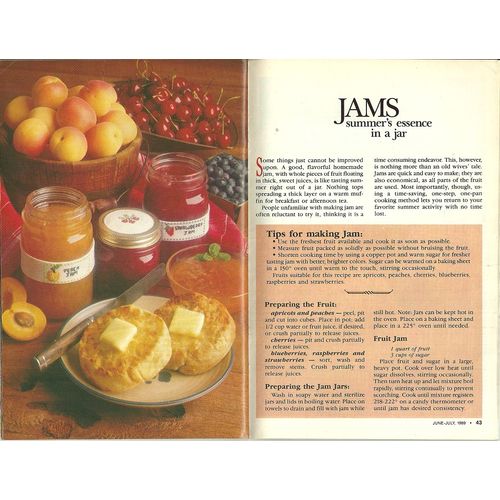 The Workbasket and Home Arts Magazine July 1989 Country Crafts Needlework Recipe