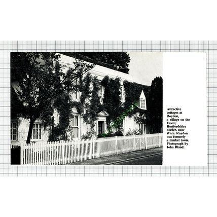 C7970) Roydon Essex - 1967 Cutting