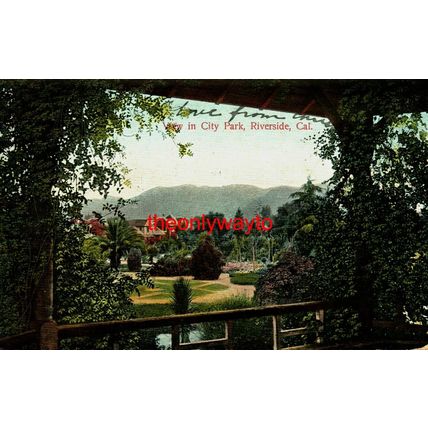 City Park, Riverside, California, USA, Postcard, 1907