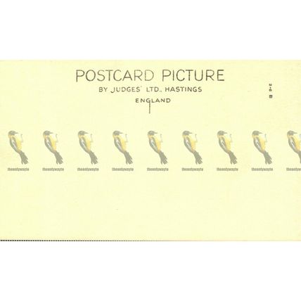 Tarr Steps, Exmoor, Somerset, Judges 16318 Postcard
