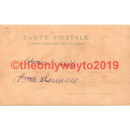 Rabbits Eat Lettuce, Early French Postcard
