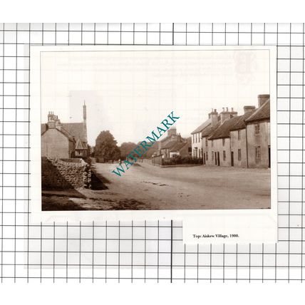 Aiskew North Yorkshire - Cutting