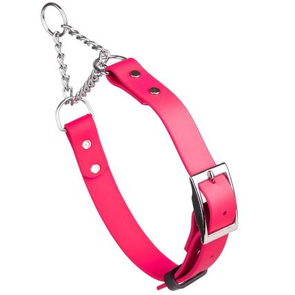 Dog Pet Martingale Collar with Metal Buckle W 1" x L 14"-20" Passionfruit Pink