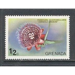 Grenada.SG678 1/2c Granadilla Barbadine.Unmounted Mint.April2015