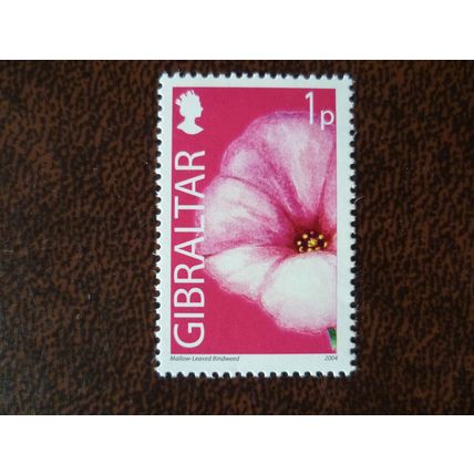 Gibraltar 2004 Wild Flowers 1p Mallow Bindweed mint stamp SG1094 Flora Plants