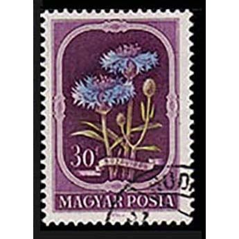 Hungary 1951 Flowers 30f Used Stamp